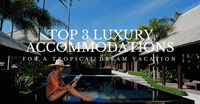Top 10 Affordable Hotels for a Dream Vacation