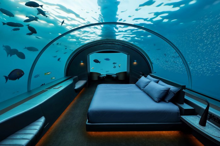 Family-Friendly Hotels With Amazing Amenities