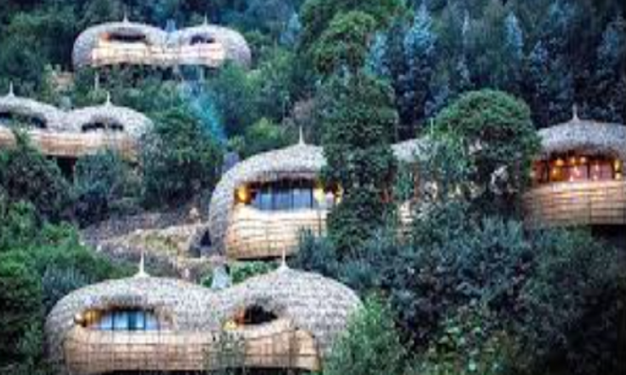 Eco-Friendly Hotels Making a Difference in 2025