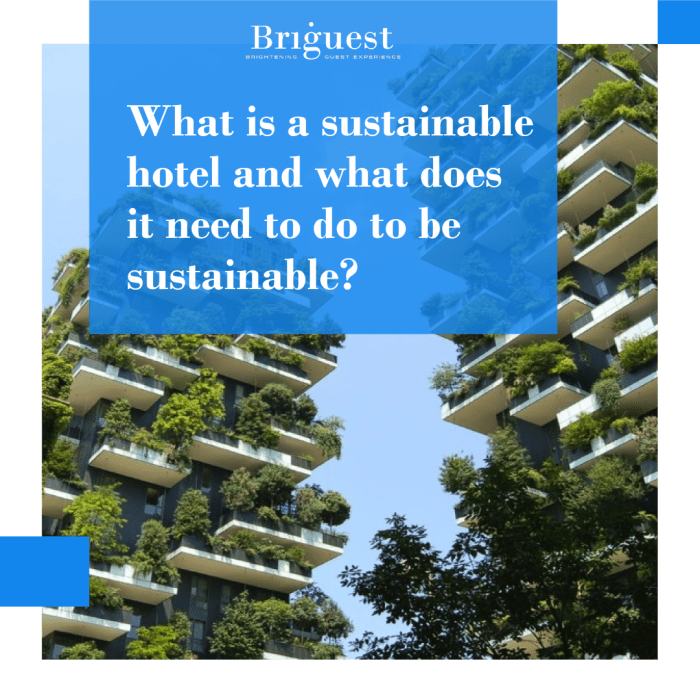 Eco-Friendly Hotels Making a Difference in 2025