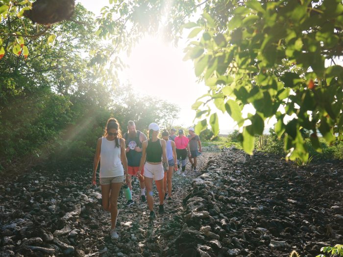 Wellness retreats with on-site nutritionists
